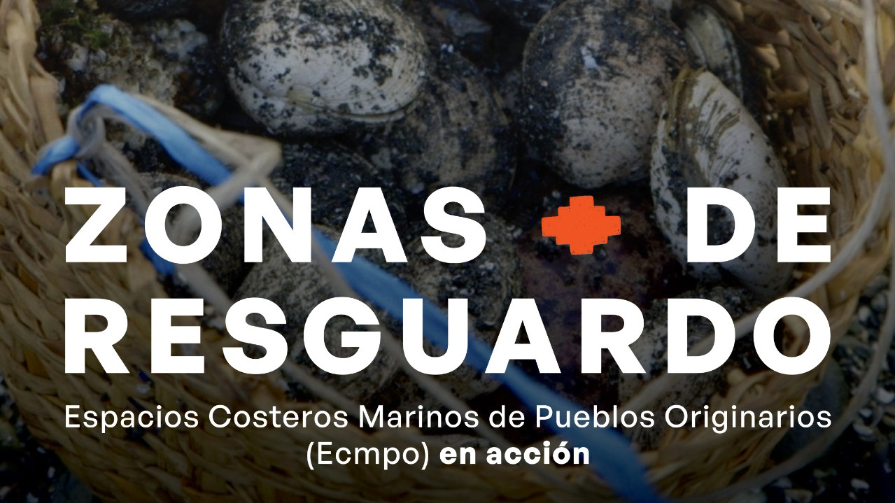Zonas de Resguardo: cuando el mar también tiene gobernanza indígena