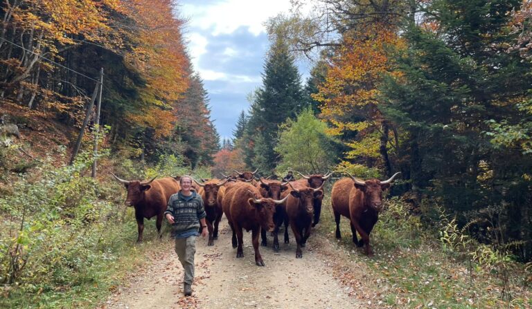 Image for Rights to Over 30,000 Community-Governed Biodiverse Territories Are Threatened in France 